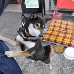 ピッザピッザピッザ - 