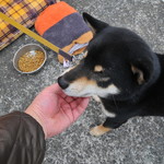 ピッザピッザピッザ - 