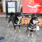 ピッザピッザピッザ - 