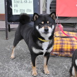 ピッザピッザピッザ - 