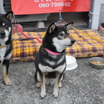 ピッザピッザピッザ - 