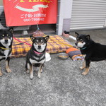 ピッザピッザピッザ - 