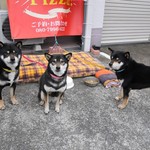 ピッザピッザピッザ - 