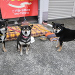 ピッザピッザピッザ - 