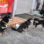 ピッザピッザピッザ - 