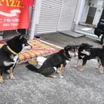 ピッザピッザピッザ - 