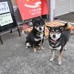 ピッザピッザピッザ - 