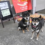 ピッザピッザピッザ - 