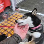 ピッザピッザピッザ - 