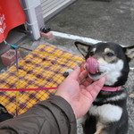 ピッザピッザピッザ - 