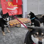 ピッザピッザピッザ - 