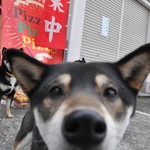 ピッザピッザピッザ - 