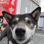 ピッザピッザピッザ - 