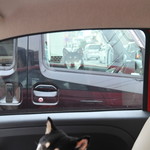 ピッザピッザピッザ - 