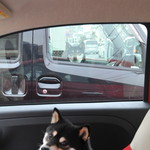 ピッザピッザピッザ - 