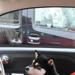 ピッザピッザピッザ - 