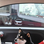 ピッザピッザピッザ - 