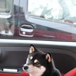 ピッザピッザピッザ - 