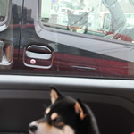 ピッザピッザピッザ - 