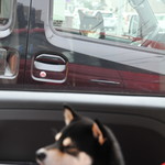 ピッザピッザピッザ - 