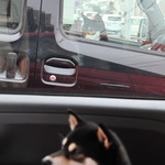 ピッザピッザピッザ - 