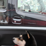 ピッザピッザピッザ - 