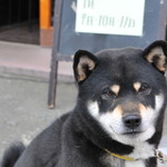 ピッザピッザピッザ - 