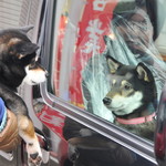 ピッザピッザピッザ - 