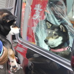 ピッザピッザピッザ - 