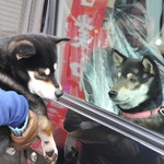 ピッザピッザピッザ - 