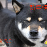 ピッザピッザピッザ - 