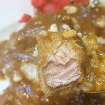 日乃屋カレー - 無料のヒレカツ