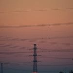 うを徳 - 元旦日出（はつひので）