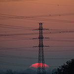 うを徳 - 元旦日出（はつひので）