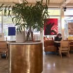 bills 福岡 - 店内