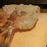 寿司源 - 「車海老」