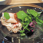 やまぐち - 香住の香箱蟹と香草を組み合わせた一皿