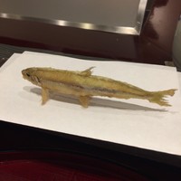 旬彩天 つちや - 