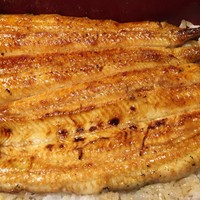 駒形前川 新丸ビル店 - 上鰻重
