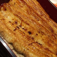 駒形前川 新丸ビル店 - 上鰻重