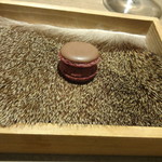 ラチュレ - 鹿の血を使ったマカロン