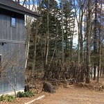 雪のない八ケ岳の正月