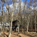 GROVE CAFE - 木漏れ日の八ケ岳の森