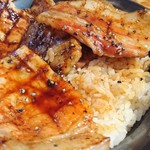 十勝亭 - 本ロース＆バラのMサイズをアップで