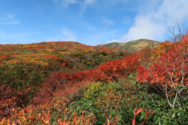 駒の湯温泉 - 栗原市その他（その他）の写真