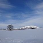 久保田 - オマケ・大晦日の一本桜と岩手山