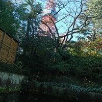 和食 清水 - 東京タワー見えますよ