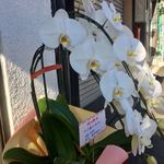 ラーメン屋 トイ・ボックス - らぁ麺屋 飯田商店から4周年のお祝いの花