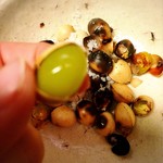 旬鮮味処 かつら - 銀杏剥いたでっっヽ( ‵ω´)ノ