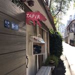 Tapi - 